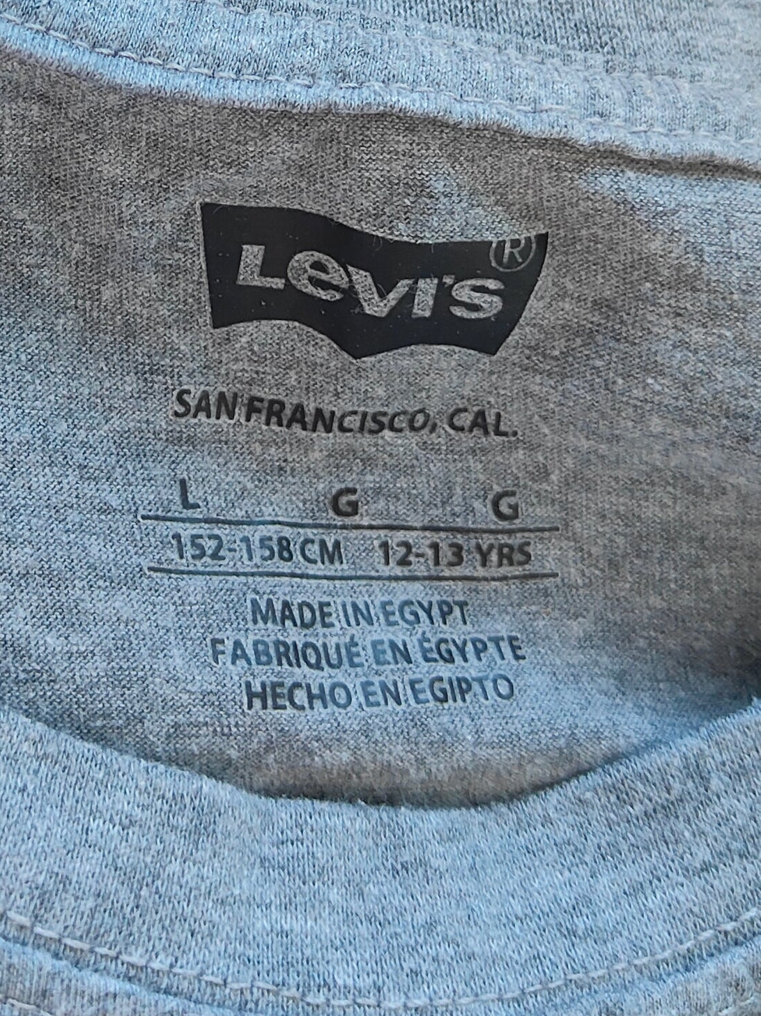 Levi's Camo Batwing Logo Tee — Kids L (12-13 yrs)