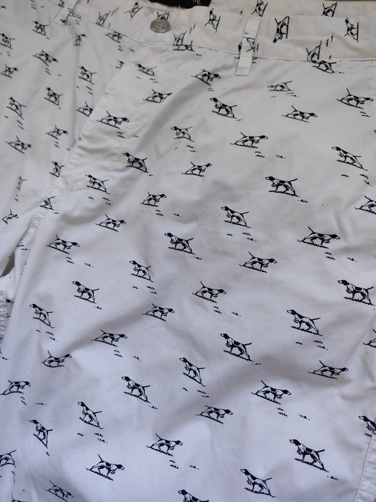 Rodd & Gunn Sports Fit Chino Shorts — Pointer Dog Print | White | W38