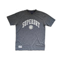 Superdry Women's Grey Logo Graphic Tee – UK 6