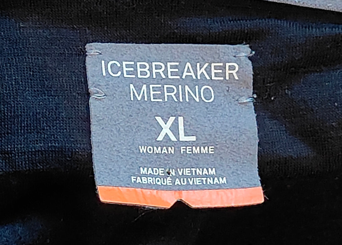 Icebreaker Merino Pullover Hoodie — Black