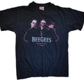 Vintage 1998 Bees Tour T-Shirt – Size M
